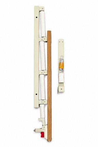 Bed rail assist - rail, handle